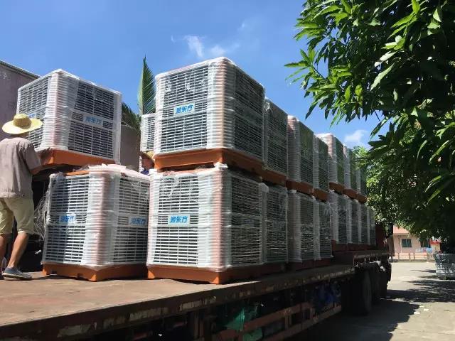 工廠車間快速降溫方法，你知道嗎？