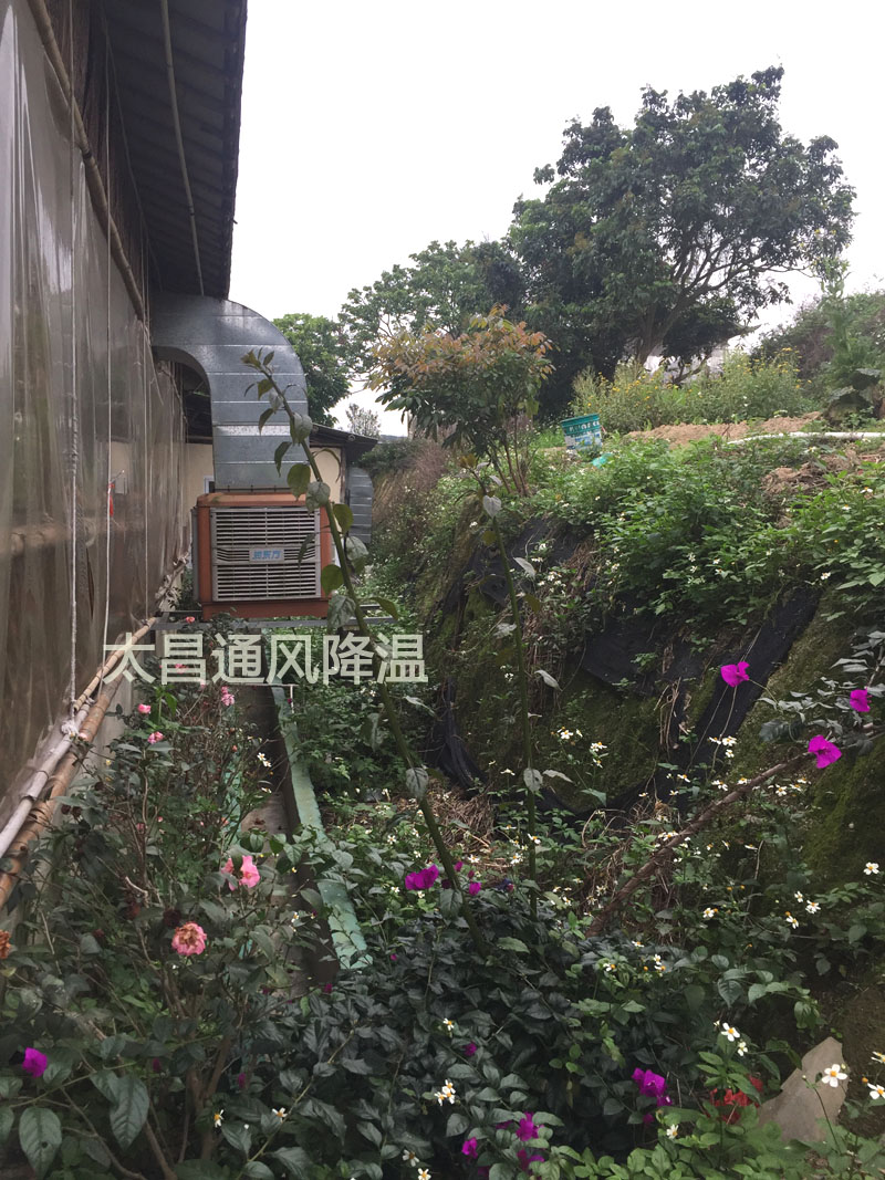 環(huán)?？照{
