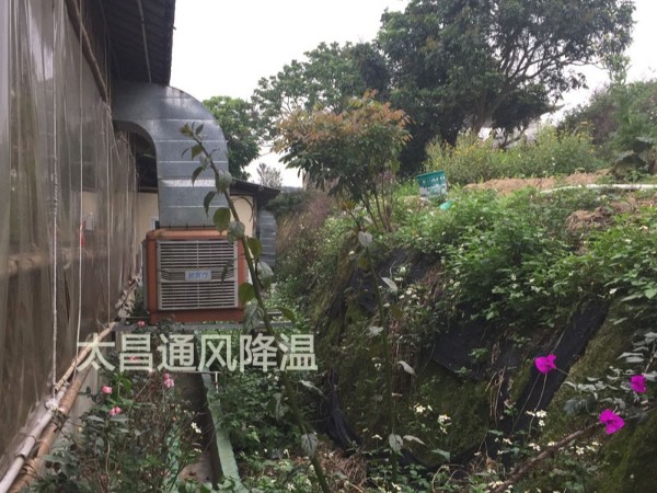 天氣太熱?環(huán)?？照{(diào)為你的餐廳守護清涼