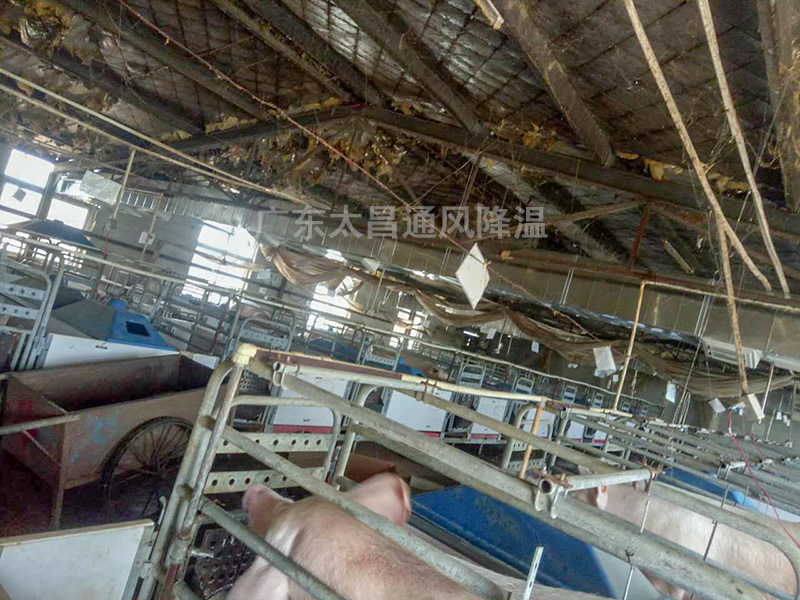 養(yǎng)殖場通風降溫常用設備3 養(yǎng)殖場通風降溫常用設備3